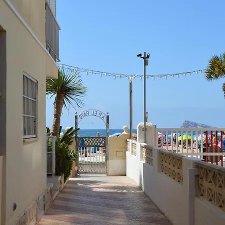 El Pato Primera Linea Benidorm