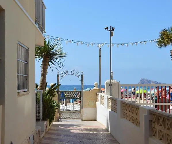 El Pato Primera Linea Benidorm