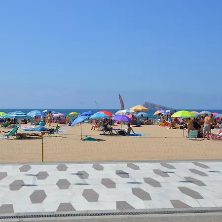 El Pato Primera Linea